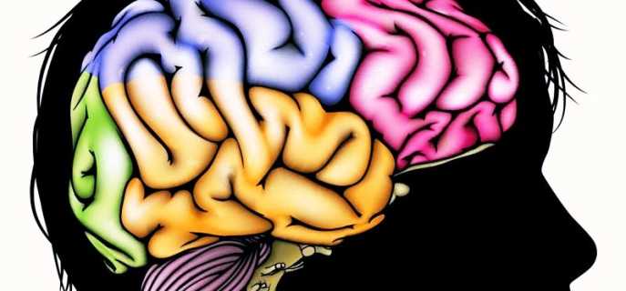 Рекомендуемая диета при сотрясении головного мозга