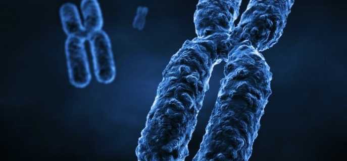 Причины возникновения синдрома Дауна