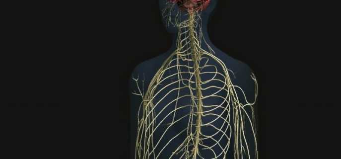 Симптомы, причины и методика лечения невралгии