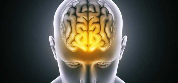Возможности головного мозга человека