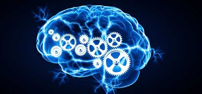 Способы развить интеллект самостоятельно