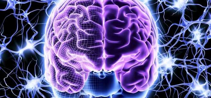 Восстановление клеток головного мозга