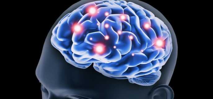 Способы улучшить работу головного мозга