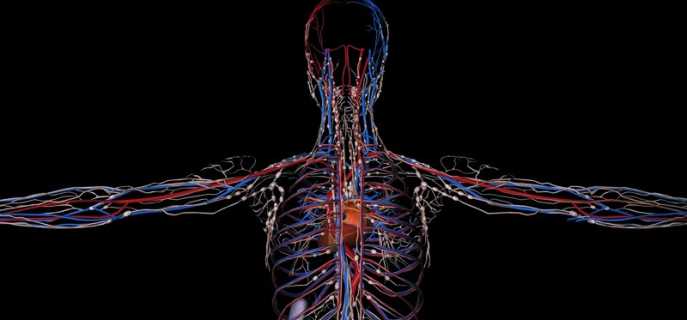 Причины, признаки и лечение плохих сосудов