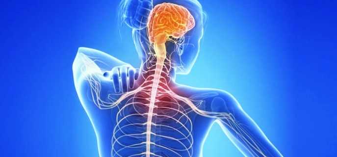 Правильная диета при рассеянном склерозе