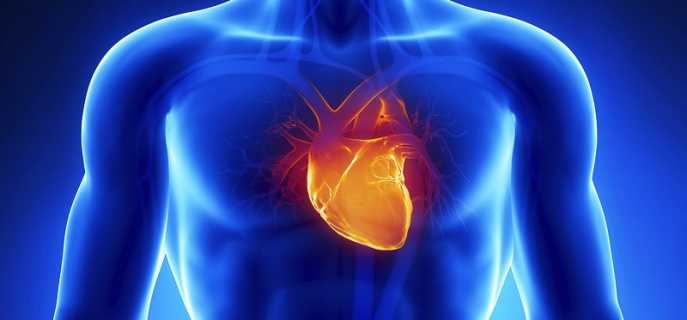 Чем отличаются инсульт и инфаркт