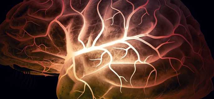 Средства и препараты для сосудов головного мозга