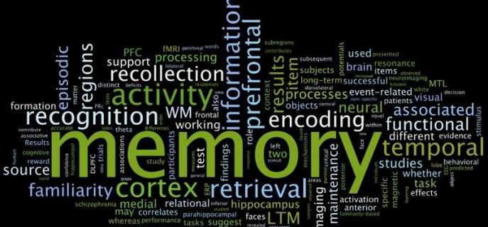 Игры и упражнения для развития памяти у детей и взрослых