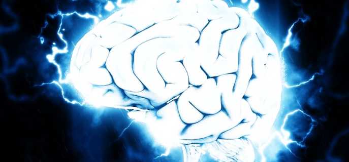 Функции долей головного мозга