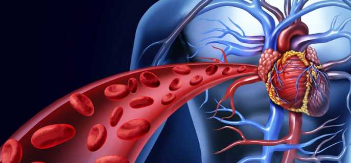 Действительно ли кофе расширяет кровеносные сосуды