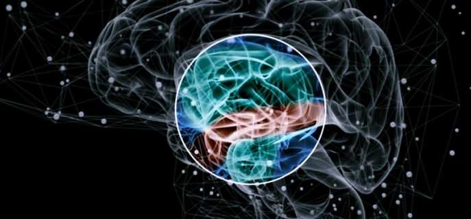 Симптомы, стадии и способы лечения параноидальной шизофрении