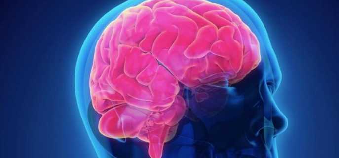 Виды повреждений головного мозга