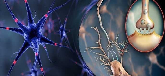 Как укрепить психику и нервную систему