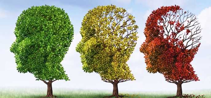 Деменция у пожилых людей