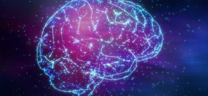 Желудочки головного мозга человека