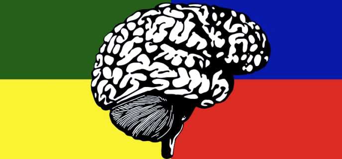 Системы мозга человека