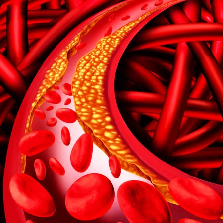 Эритроциты