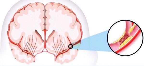 Место нахождения