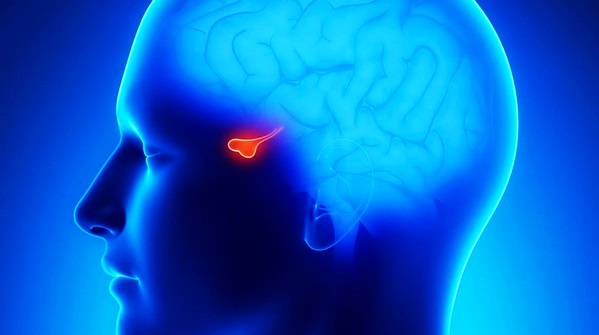 Место дислокации