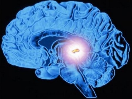 Локализация