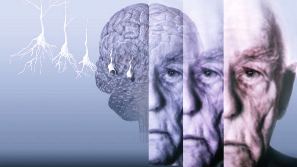 Композиция