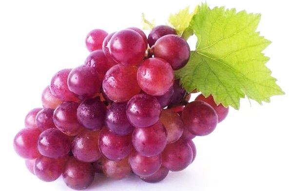 Виноград