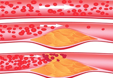 Образование