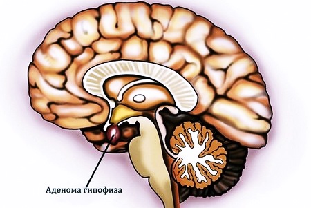 Место появления