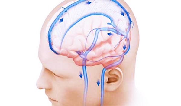 Циркуляция