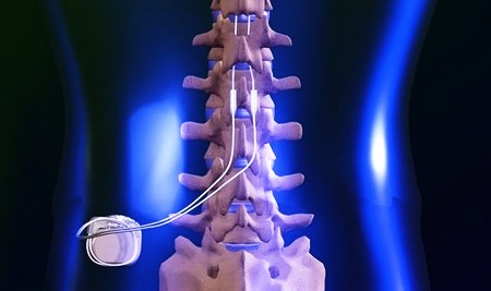 Позвоночник