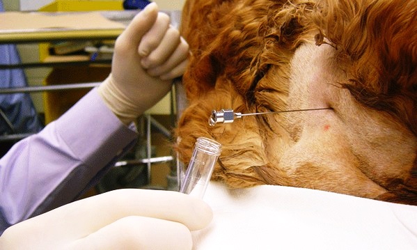 Откачивание