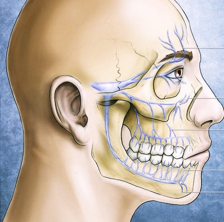 Тройничный нерв