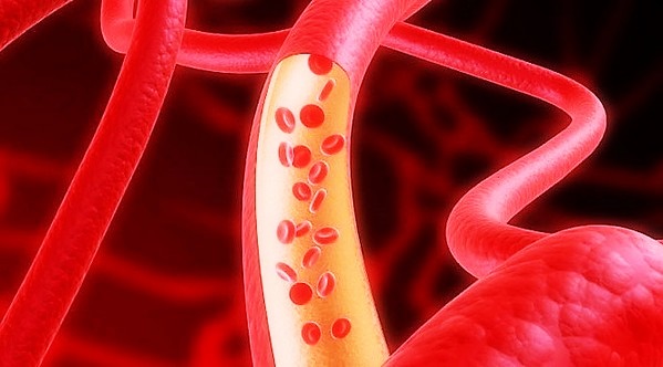 Транспортировка крови