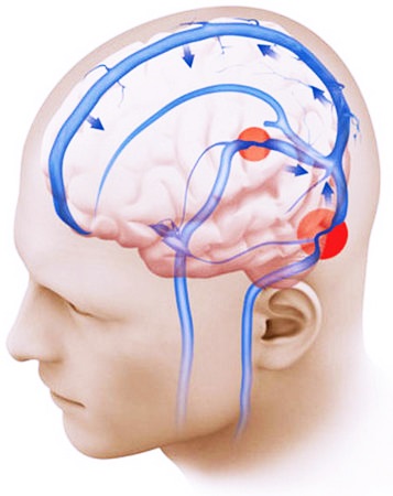 Циркуляция