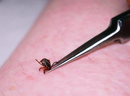 Вытаскивание