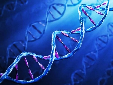 Спираль ДНК