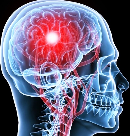 Место образования