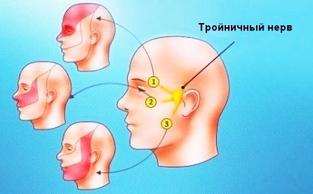 Как выглядит