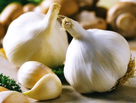 Чеснок