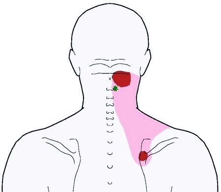Левая часть