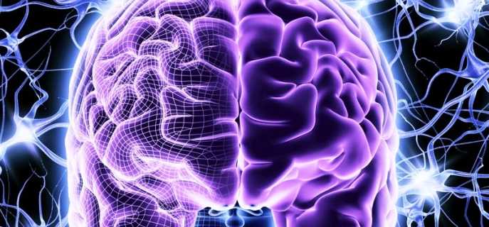 Как улучшить работоспособность мозга