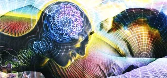 Деятельность мозга во сне