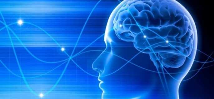 Формирование мозга ребёнка