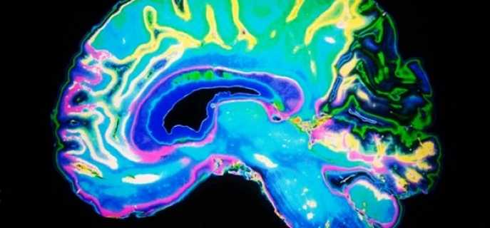 Центр речи мозга человека и его патологии