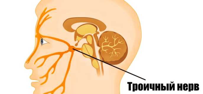 Лечение неврита тройничного нерва