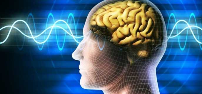 Гимнастика для развития мозга