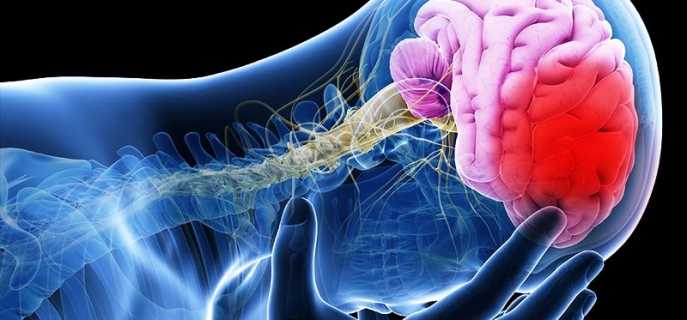 Инсульт левой стороны головного мозга
