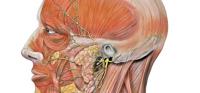 Способы лечения невралгии тройничного нерва в домашних условиях