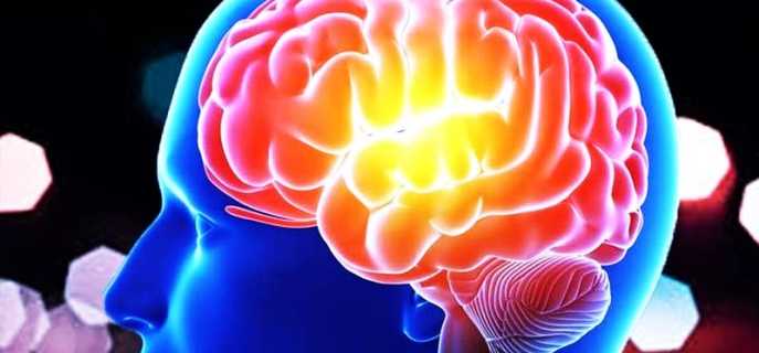 Симптомы, протекание, лечение и профилактика таёжного энцефалита