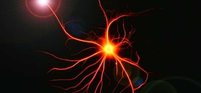 Причины, симптомы и лечение астроцитомы головного мозга